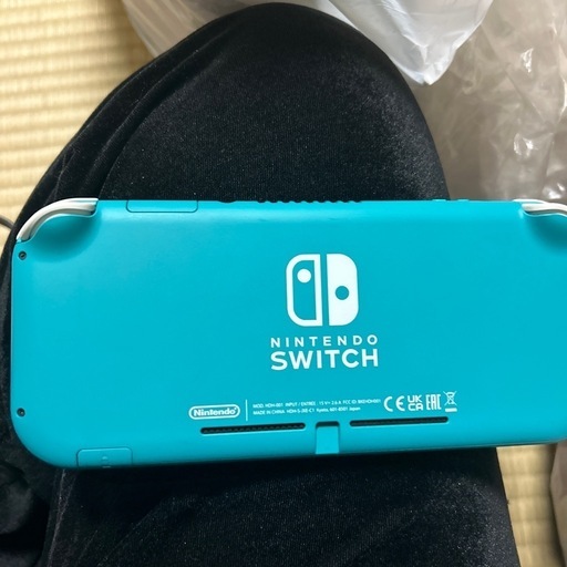 ニンテンドースイッチライト ターコイズ ソフト付き