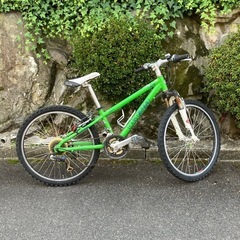 大幅値下げ！小柄な方向け本格MTB/24インチ/ルイガルノー(L...