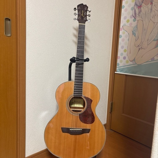 （James（ジェームス） J-300A）初心者用ギター