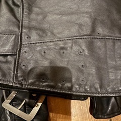 Schott ダブルライダース
の画像