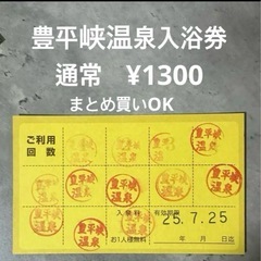 北海道　温泉入浴券　通常1300円　無料利用券　定山渓　豊平峡温泉