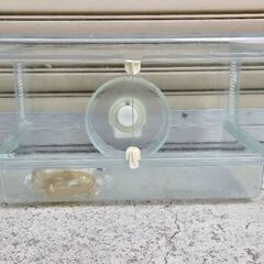 美品中古 ‼ GEX グラスハーモニー 600N - ☆kenny東京本店☆