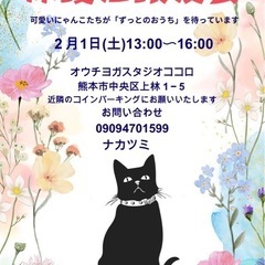 ＊合同ふれあい保護猫譲渡会＊