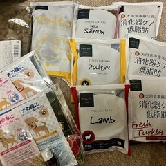 【ドッグフード】おまけ付❣️pochiポチ、お試し用セット