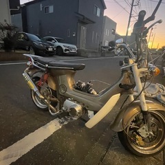 初期
シャリー88cc  HONDAエンジンの画像