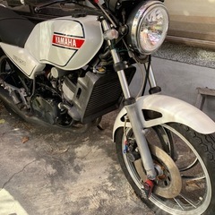 YAMAHA  RZ250の画像