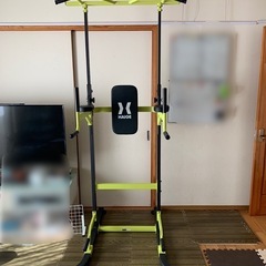 懸垂マシン ぶら下がり健康器 プラップバーM2(取扱説明書付き)
