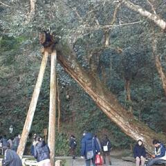 水戸近郊の方　 - その他