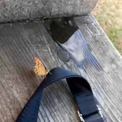 水戸近郊の方　 − 茨城県