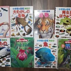 図鑑8冊セット