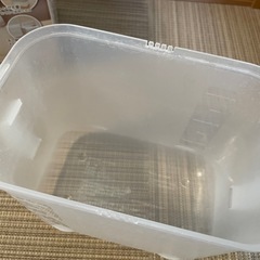 哺乳瓶消毒ケースの画像