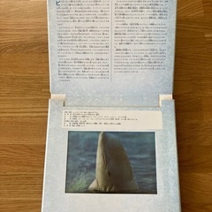 動くしかけ絵本の画像