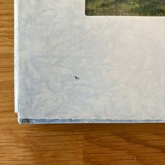 動くしかけ絵本の画像