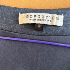 グレーワンピース PROPORTION-body dressingの画像