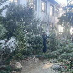 アパート マンション等の庭園管理致します。所沢市狭山市〜