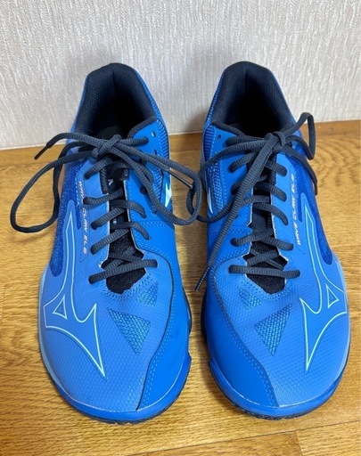 Mizuno バドミントンシューズ　28センチ