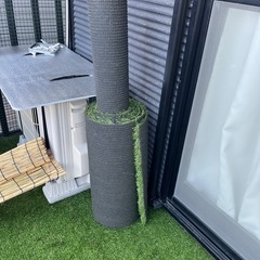 人工芝の画像