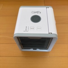 ここひえ