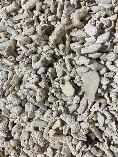 珊瑚砂利（粒大きめ）