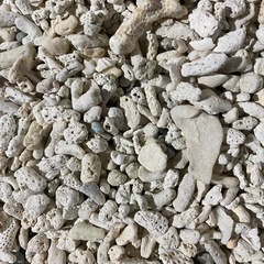 珊瑚砂利（粒大きめ）の画像