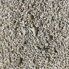 珊瑚砂利（粒大きめ）