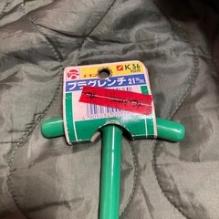 プラグレンチ☆21mmの画像