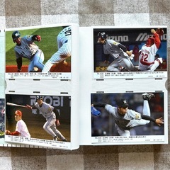 HANSIN Tigers 優勝記念フォトアルバム 2003濱中おさむカード 付きの画像