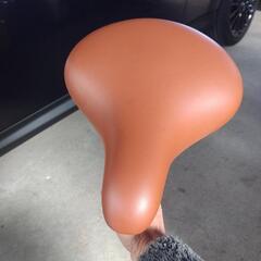 ブリジストン座面は綺麗なサドルの画像