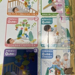 【受け渡し先決定】メリーの画像