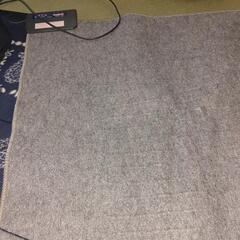 電気カーペットの画像