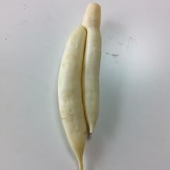 野菜を探してます☀️