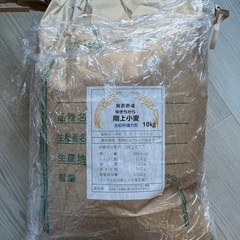 令和6年青森県階上産小麦ゆきちから全粒粉10kg
