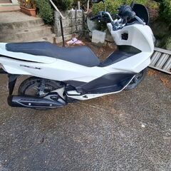 PCX125の画像