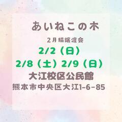 😺猫  家族募集😺譲渡会🐾1歳未満多数