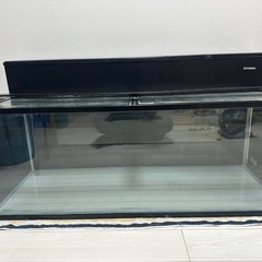 120センチ水槽の画像