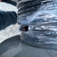 スピカーコード　　の画像