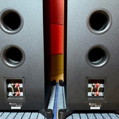 JBL STAGE A190 フロアスタンディングスピーカーペア美品！の画像