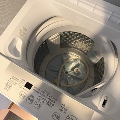 【美品】東芝 洗濯機 使用期間6ヶ月の画像