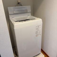 【美品】東芝 洗濯機 使用期間6ヶ月