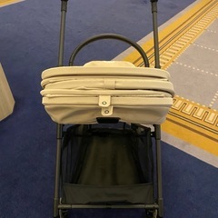 再募集中！【美品】サイベックス　メリオ　カーボンの画像