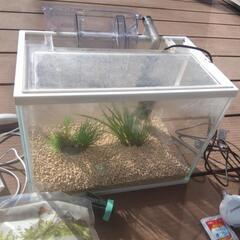 水槽セットの画像