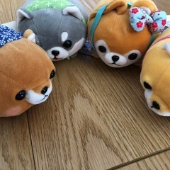 柴犬ぬいぐるみ4個セットの画像