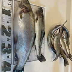 管理釣り場仲間募集🎣