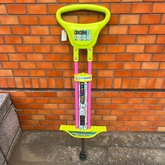 RANGS 　ホッピング