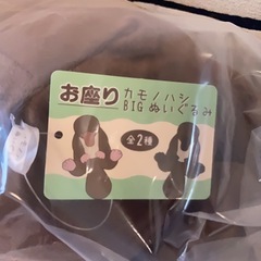 お座りカモノハシの画像