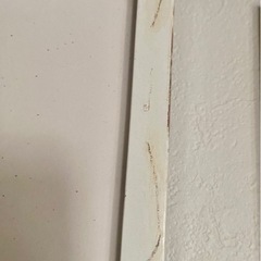 絵画の画像