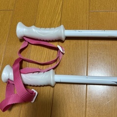 スキーストックの画像
