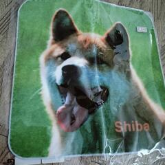 柴犬グッズまとめての画像