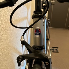 fuji featherの画像