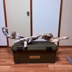 天然流木！巨大サイズ！１３０cm！